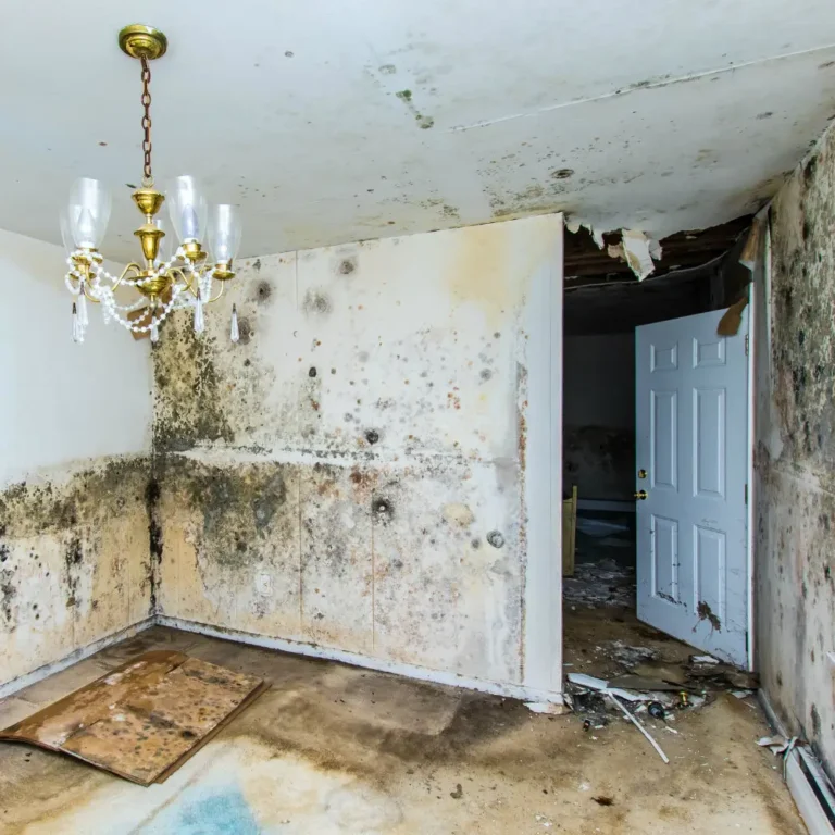 Insurance for Water Damage – The Most Common Loss for Properties